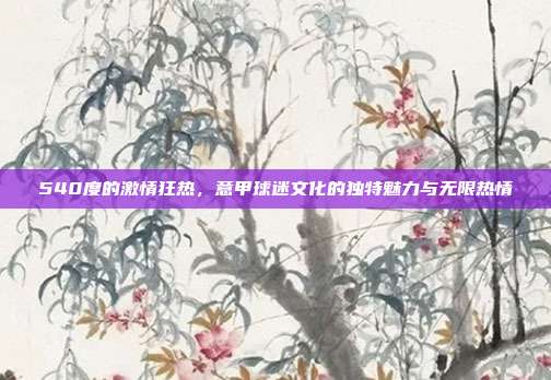 540度的激情狂热，意甲球迷文化的独特魅力与无限热情