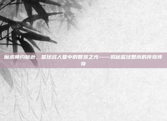 魔术师约翰逊，篮球名人堂中的智慧之光——揭秘篮球智商的传奇传奇